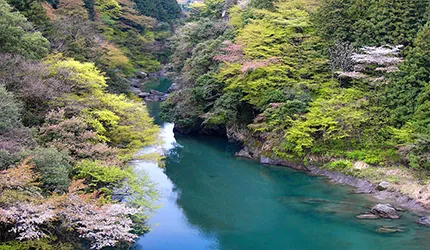 離東京最近的世外桃源──奧多摩市