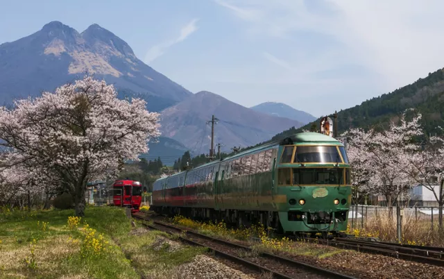 特快列車「由布院之森」奔向山林！鐵道上的移動別墅