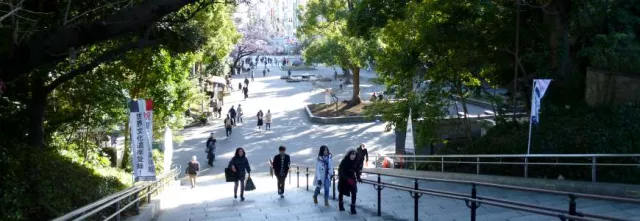 東京上野恩賜公園攻略：交通、櫻花季、博物館美術館＆周邊景點一次看
