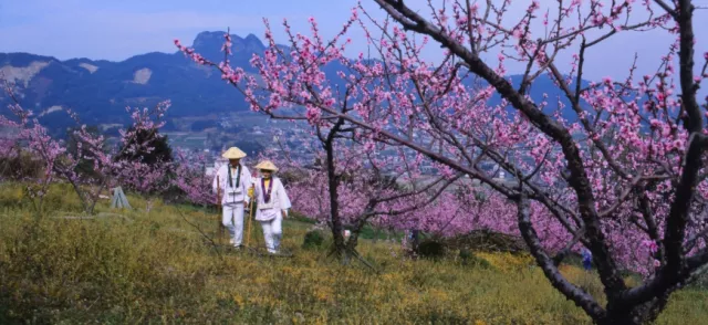 四國遍路巡禮：跟著弘海大師走遍四國88寺，來場淨化心靈之旅！