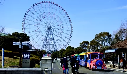 當水族館、摩天輪與東京灣相會，將擦出什麼火花？一起走訪「葛西臨海公園」！