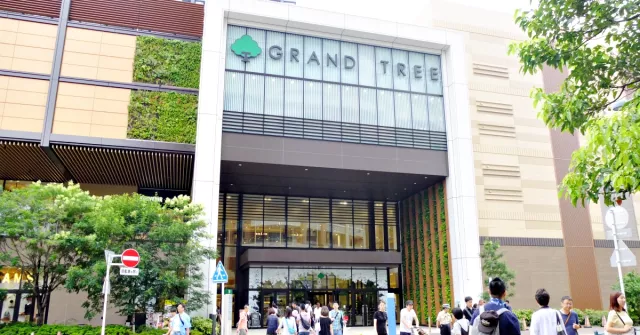 武藏小杉「GRAND TREE」一次滿足遛小孩購物美食三種願望