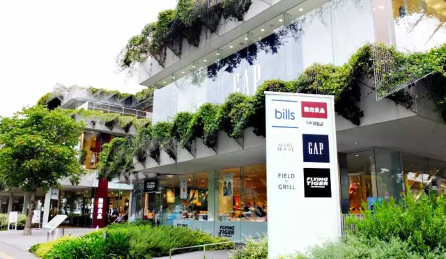 二子玉川自由行推薦：商場雜貨、市集景點、美食交通整理