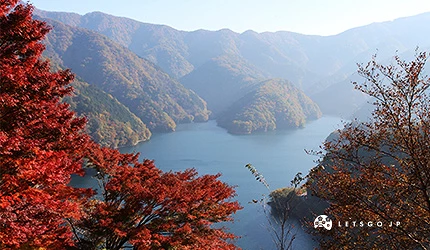 東京奧多摩湖被群山環繞,湖面倒映著秋日紅葉,展現壯麗自然景觀
