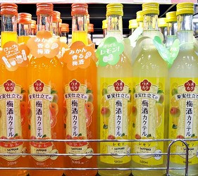 日本梅酒種類居酒屋怎麼點梅酒教學