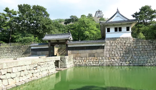 讚岐國名所，現存12天守與最高石垣之美──丸龜城 的縮圖