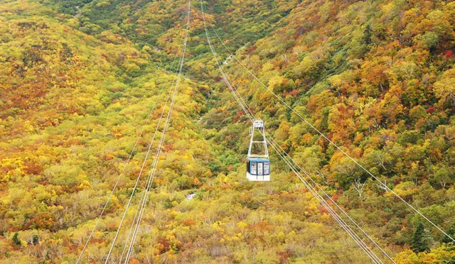 暢遊日本中部北陸「昇龍道」：富山、滋賀、長野三縣必去景點推薦