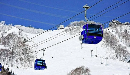 雪地上有纜車