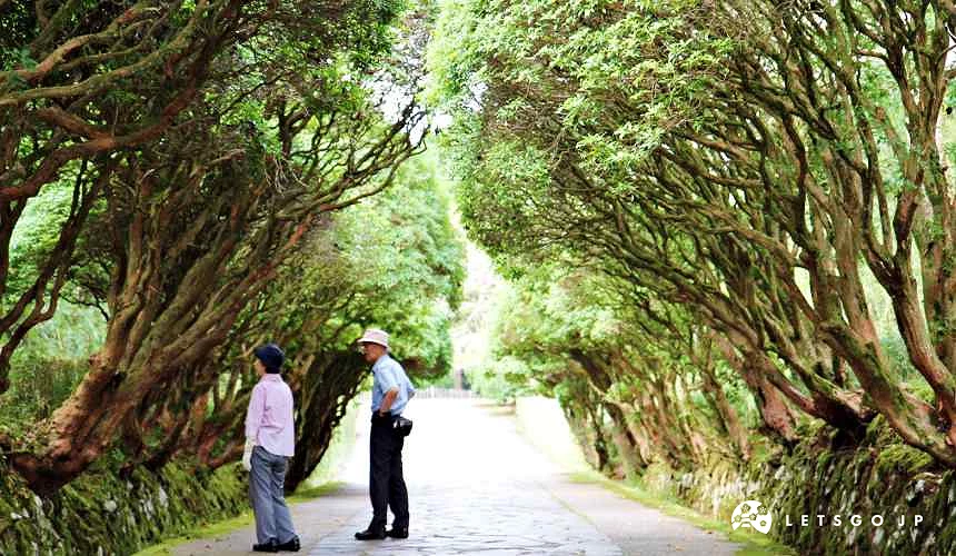 兩位遊客在恩賜箱根公園內散步