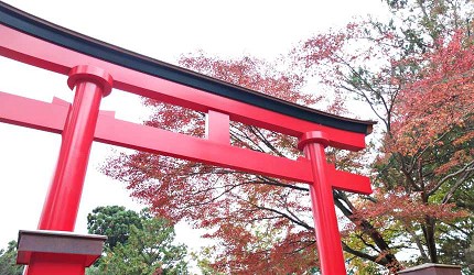 台輪鳥居