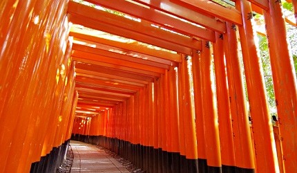 京都伏見稻荷神社千本鳥居