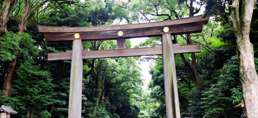 明治神宮鳥居