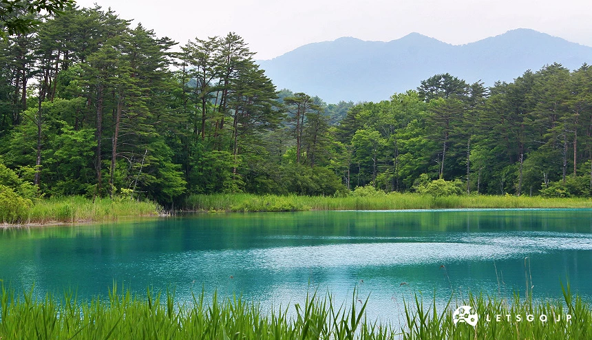 日本福島縣的五色沼沿途風景之一