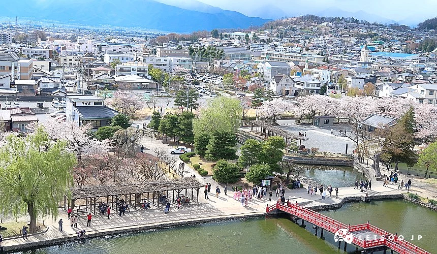 從「松本城」天守閣眺望到櫻花盛開的松本市區景色