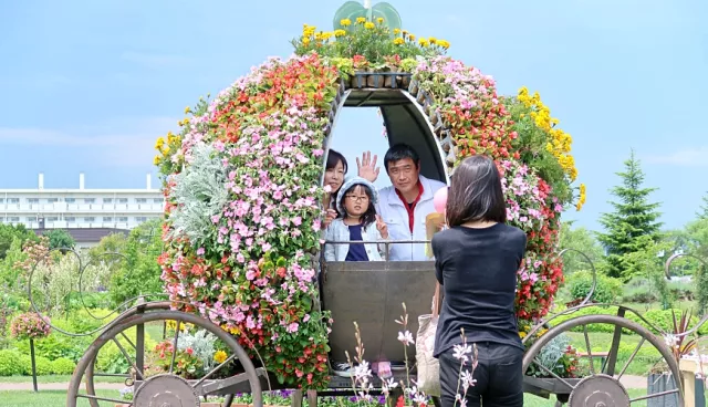 北海道賞花不要只去富良野！花之鄉「惠庭」給你最夢幻好玩的吃花體驗 的縮圖