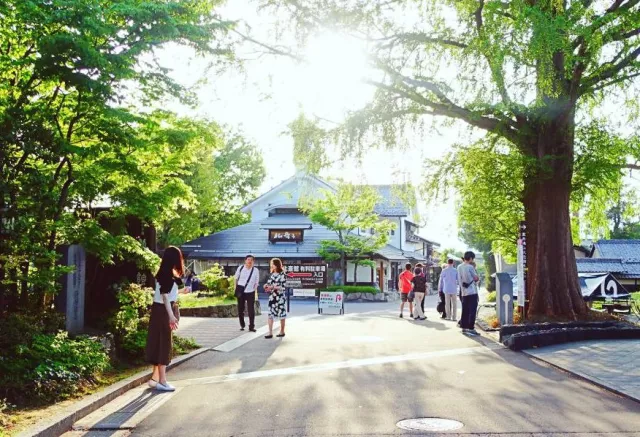 長野2天1夜女子旅提案！一起走訪小布施、善光寺，深度體驗長野悠閒風光！