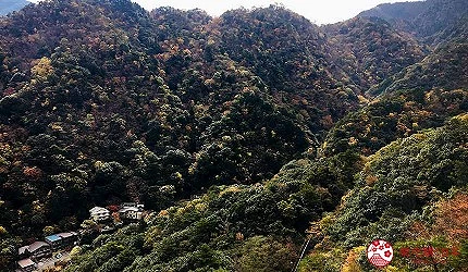 整片綠色的山坡
