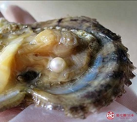 手持打開的貝殼,內部有軟體組織和白色圓形物體
