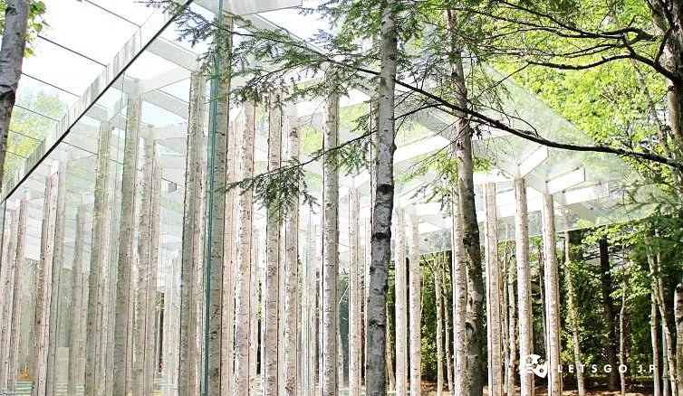 整片森林的樹幹融入在建築物中
