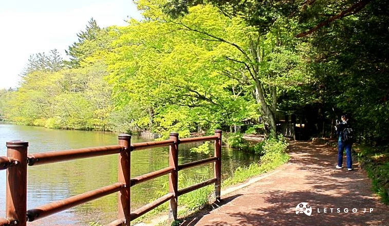 雲場池的湖畔步道