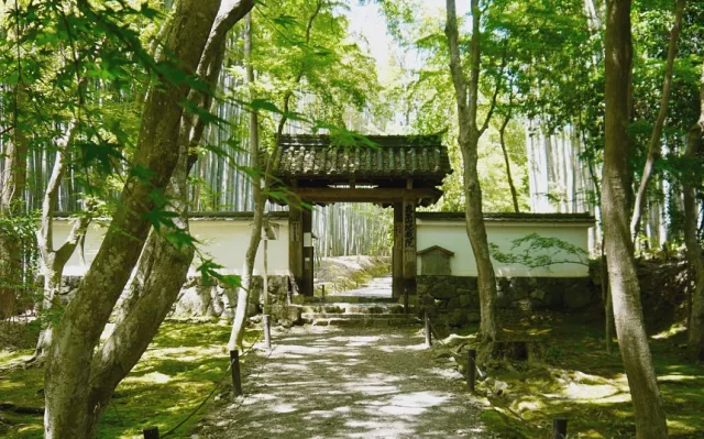 嵐山一日遊：必訪嵐山小火車、渡月橋與嵯峨野竹林小徑景點地圖