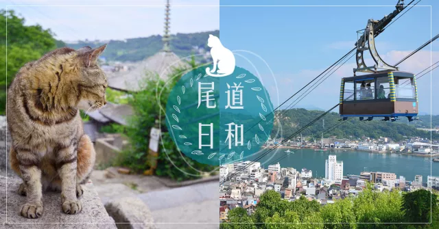 日本尾道怎麼玩？一日遊路線、美食、景點總整理 的縮圖