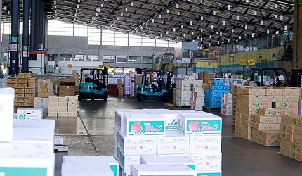 東京都內的生果批發市場大田市場的場境