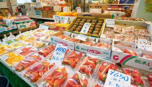 買日本水果要來市場！全國五大水果批發市場推介，跟著本地人平買當造水果！