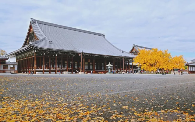 西本願寺攻略：交通與門票資訊、開放時間，必看唐門、御影堂與大銀杏！