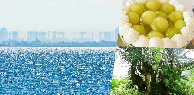 日本深度旅遊新熱點「魚津」！超夢幻海市蜃樓、洞杉森林、蜜瓜碗，走進絕景美食世界