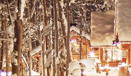 王子滑雪學校小木屋