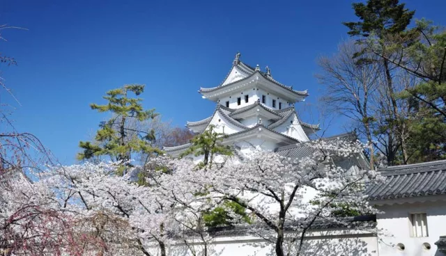 名古屋半小時就到！西美濃文青小鎮「大垣」賞櫻花、泡溫泉，走訪關原之戰古戰場