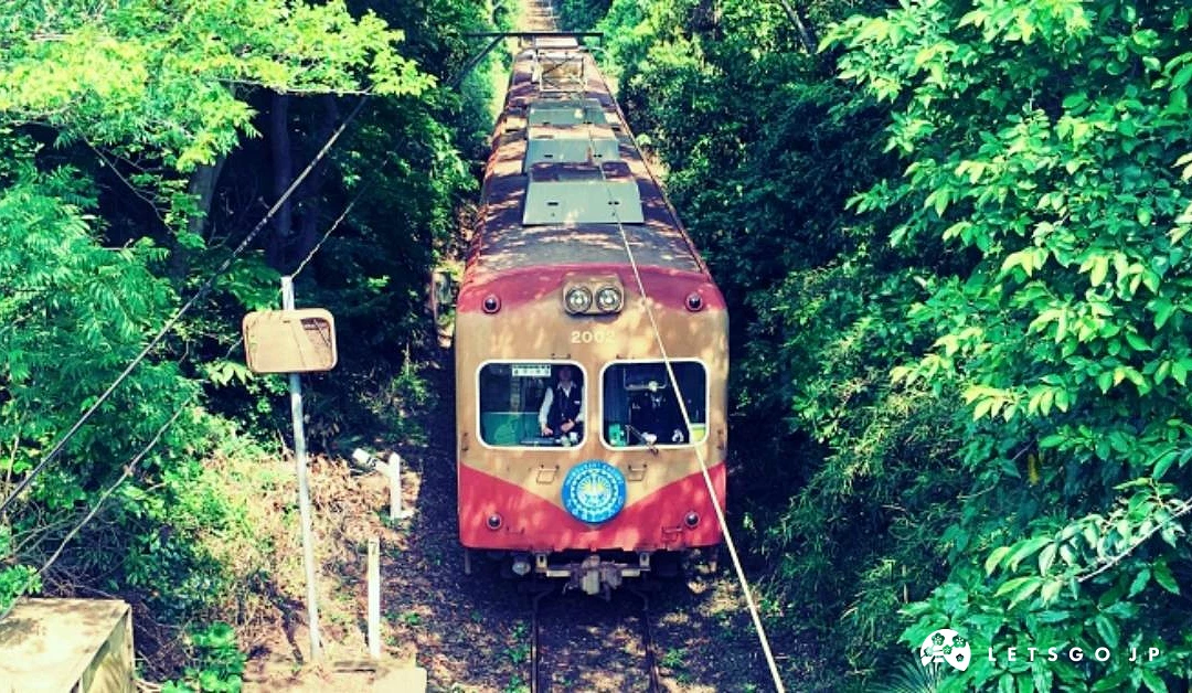 被茂密綠樹夾道的鐵軌上,紅米色列車正緩緩行駛。