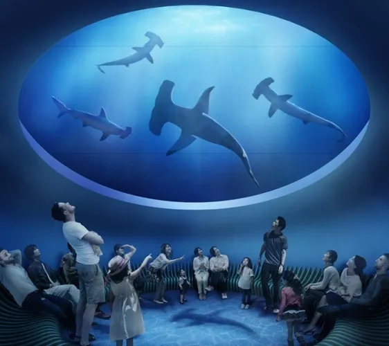 四國自由行必去新景點！超巨型水族館「四國水族館」神秘水中世界等你來探訪