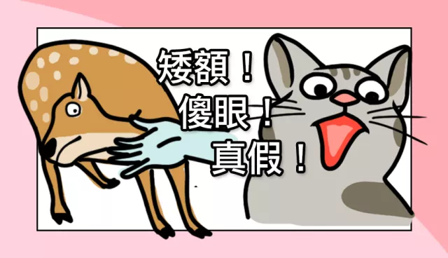 日本人也愛講「傻眼」？學會8句日文口頭禪，聊天立刻上手！