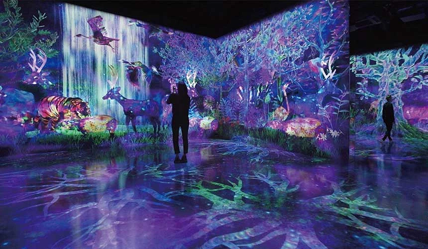 福岡「BOSS E・ZO FUKUOKA」內的teamLab Forest