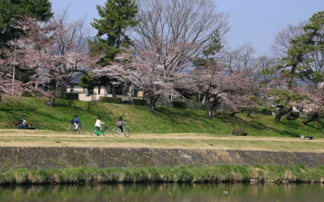 京都早上8點去哪玩？在地人最愛去的公園、清晨澡堂一次推薦！