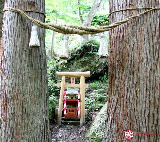秋田3天2夜超療癒行程白神山地十二湖絕景青池打卡牽超萌秋田犬散步自由行必去景點推薦推介懶人包戀文神社