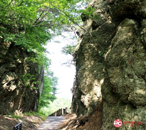 秋田3天2夜超療癒行程白神山地十二湖絕景青池打卡牽超萌秋田犬散步自由行必去景點推薦推介懶人包徯后阪入口處