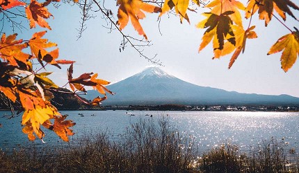 秋葉前景富士山後景的河口湖