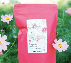 咖啡豆咖啡粉即溶咖啡推薦日本北海道森彥morihico.咖啡豆