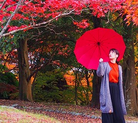 女性在紅葉景色中撐紅色長柄雨傘,呈現日式經典造型
