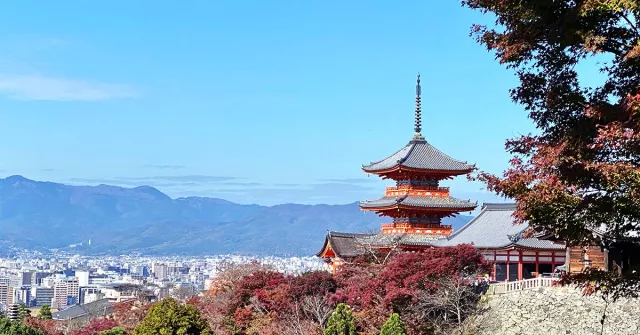 世界遺產清水寺歷經三年整修完畢！下次來京都一定要再訪清水寺