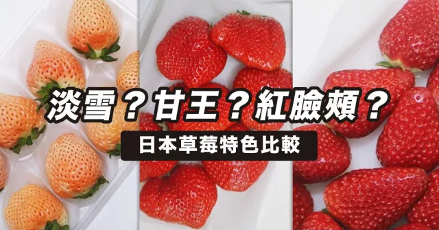 日本草莓季節月份、品種產地、甜度排行榜、購買地點總整理