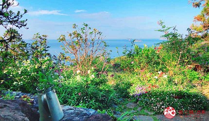 長崎軍艦島自由行自駕遊roadtrip公路旅行必去景點推薦推介必吃必食美食絕景打卡攻略Café OZIMOC種滿花草