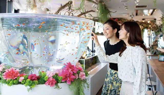 背景是瀨戶內海！四國「天空水族館 空金」欣賞金魚夢幻悠遊天之海療癒美景