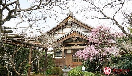靜岡自由行景點推薦濱松市國家指定文化財龍潭寺