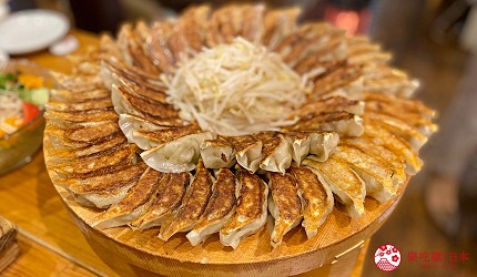 靜岡自由行美食濱松餃子濱松たんと本店