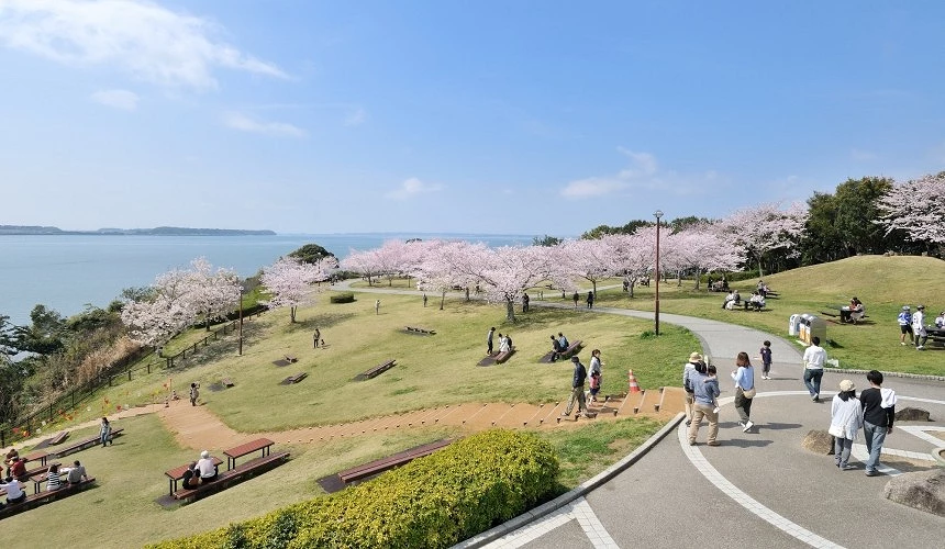 草地公園景觀,湖畔步道旁櫻花盛開,遊客在草地與步道上散步休憩,遠方可眺望寬廣的浜名湖水面與晴朗藍天,呈現春季賞櫻與湖景交織的悠閒氛圍