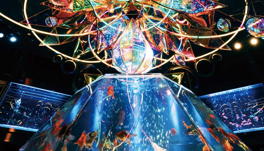 空水族館 空金